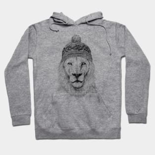 Winter lion (bw) Hoodie